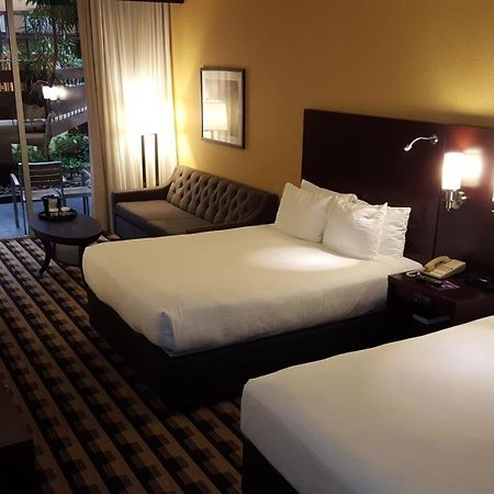 M Hotel Buffalo Чіктоваґа Екстер'єр фото